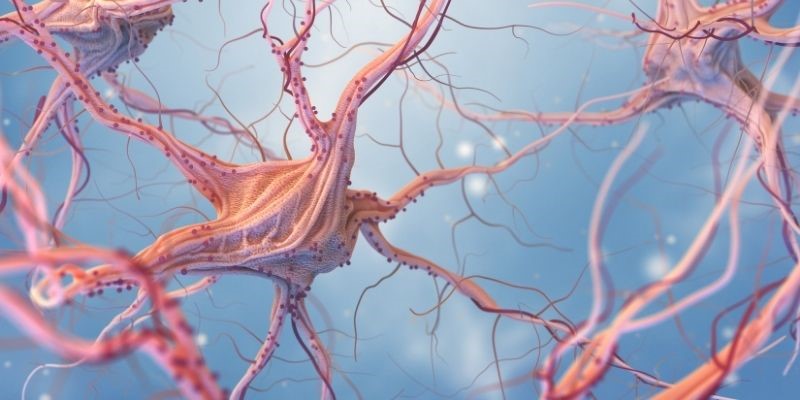 Efectos neuroprotectores del THCV - neuronas y sistema nervioso