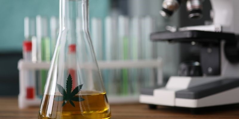 Investigación científica sobre el cannabis y el tratamiento de la ansiedad