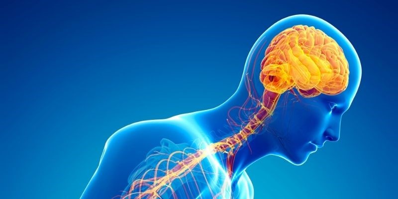 Parkinson y el sistema nervioso